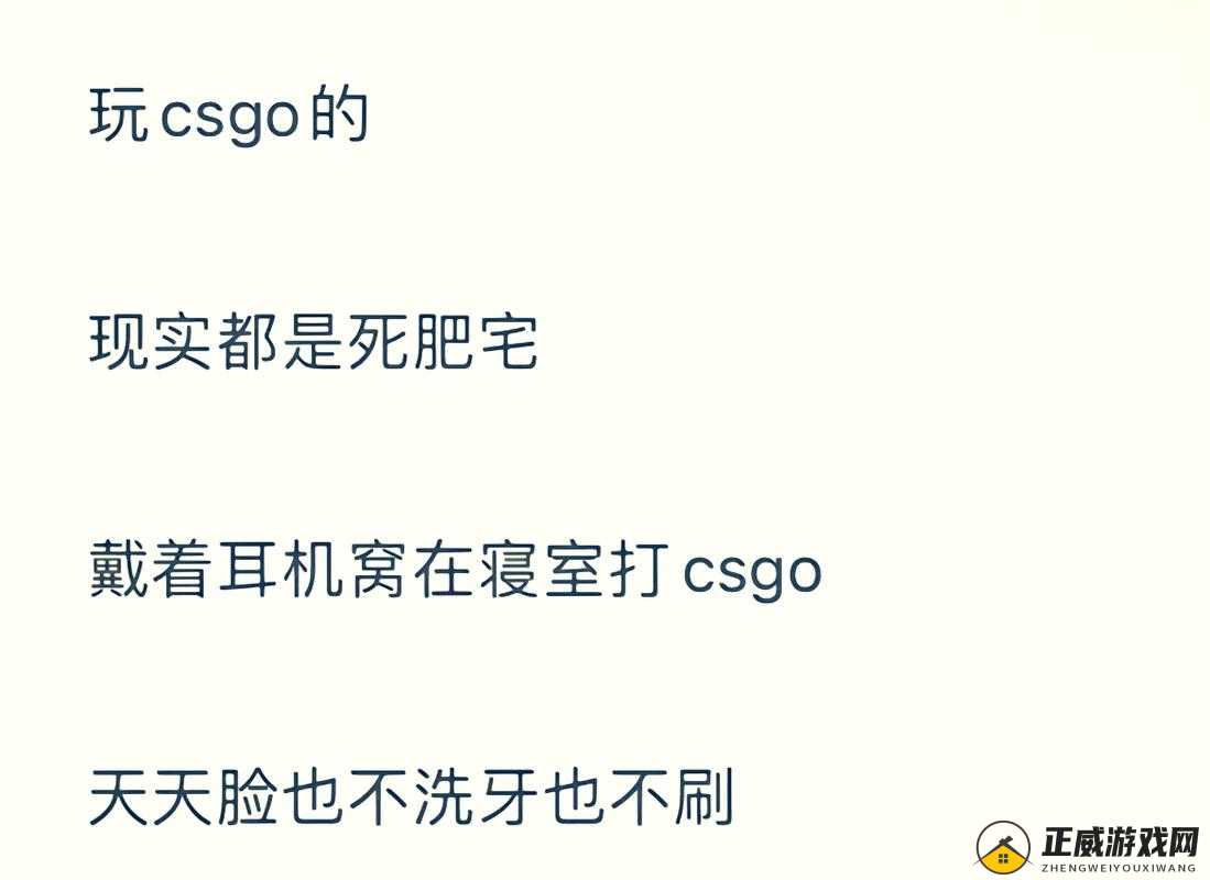 暴躁老阿姨 CSGO 剧情详细解析