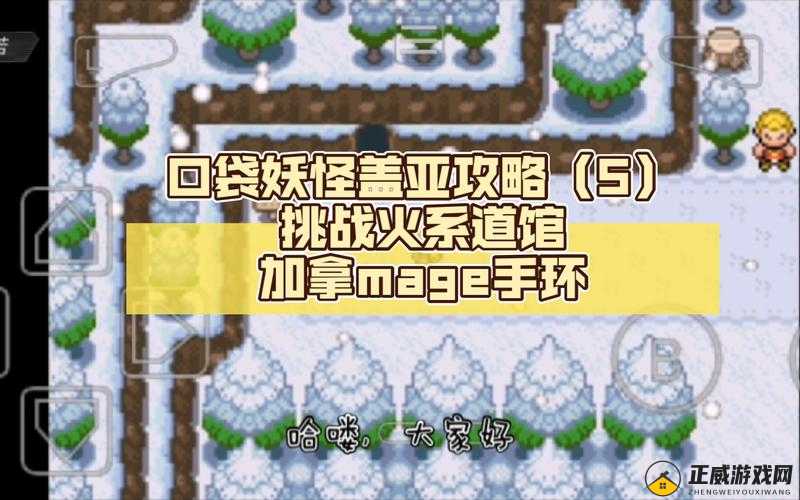 口袋妖怪复刻新手疑难解析攻略