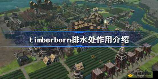 timberborn 排水处的作用一览