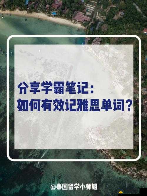 坐在学霸的大紫根上背单词：提升记忆效率秘籍