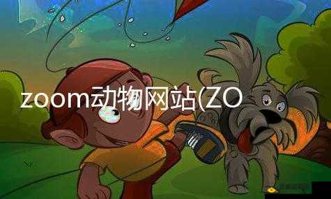 ZOOM 动物合集 VERDEOS 精彩呈现