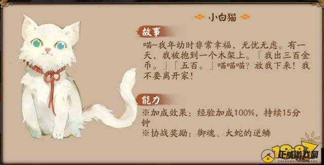 阴阳师小白猫获取及能力介绍