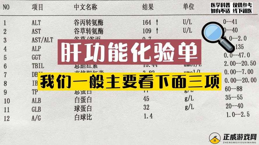 办公室强肝播出时间：精彩内容抢先看