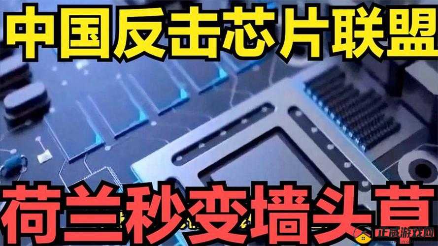 X9X9X9 任意槽之深度解析