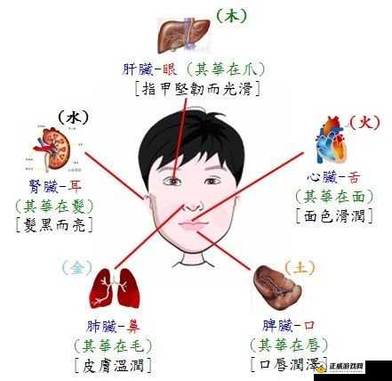 唇齿相依，息息相关