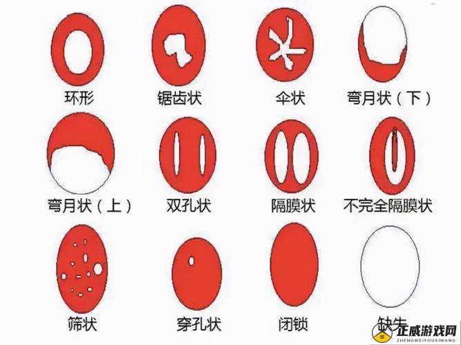 一面亲膜上边奶一个膜边：独特的表述之谜