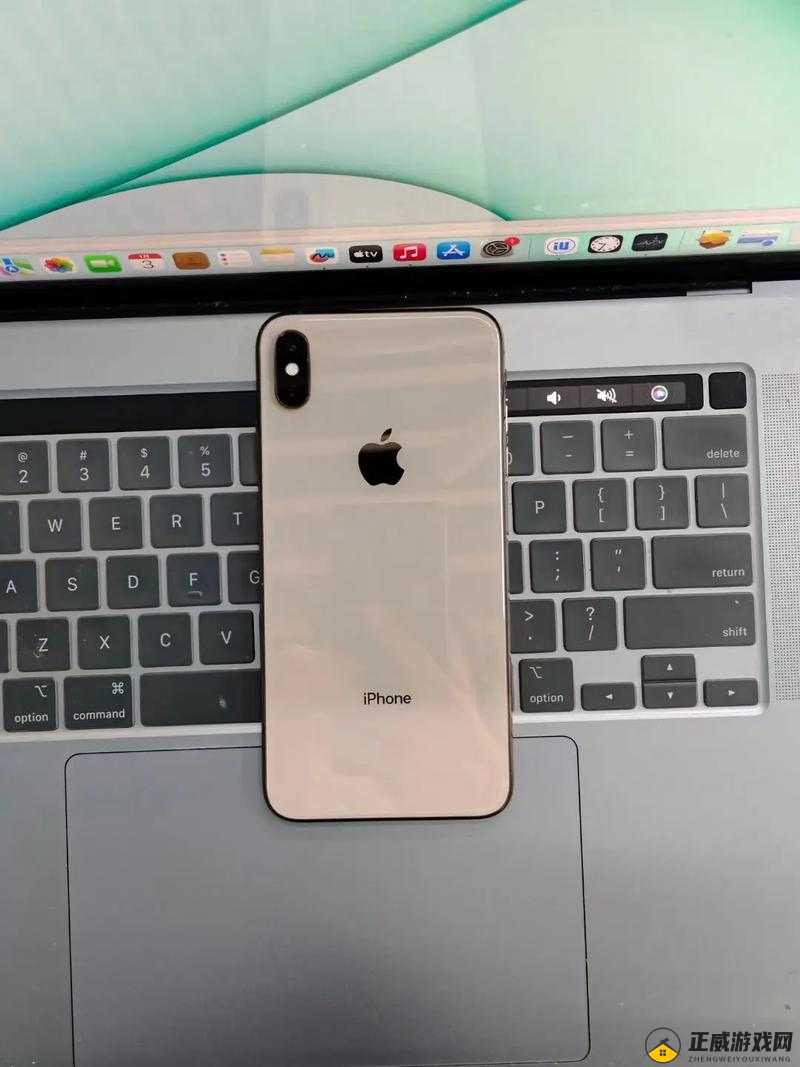 欧美 IPHONEXSMAX 大量精彩内容：探索未来科技之美