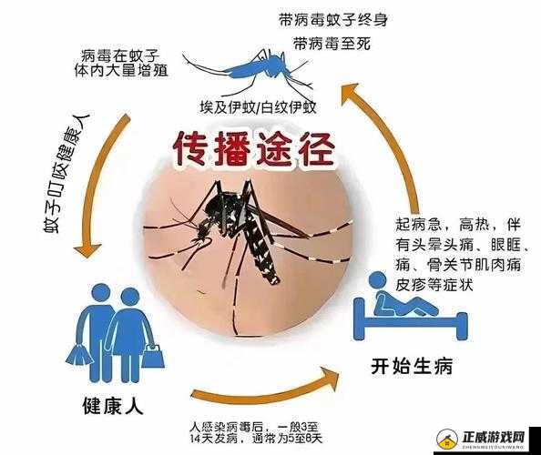 JY 改造系统：实现性健康与幸福的途径