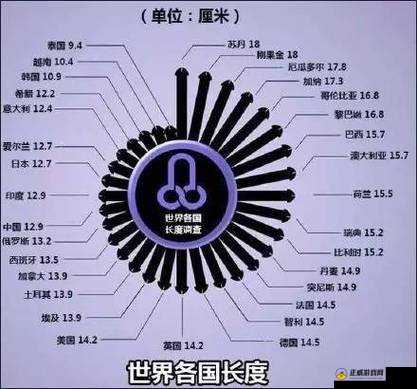 阳具多大尺寸合适：如何选择适合自己的尺寸