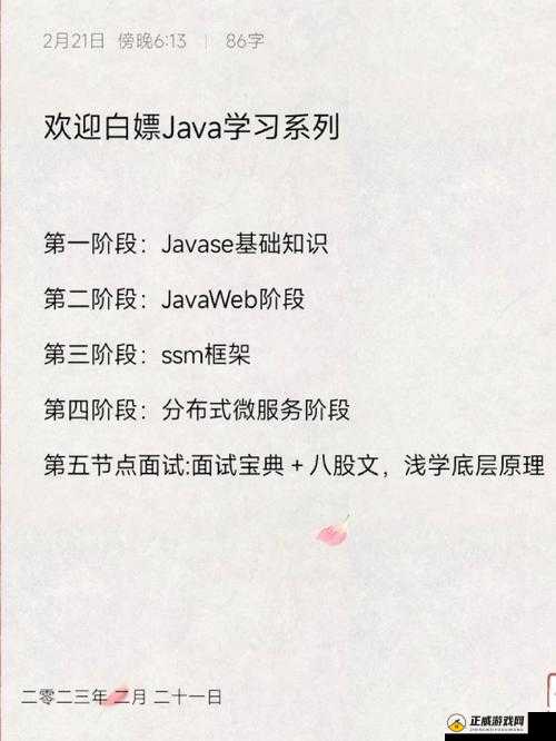 JAVAPARSER 丰满白老师：教学特色解析