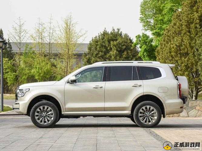 国产又美又漂亮的 SUV 有哪些：WEY 坦克 500 等